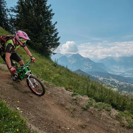 Salomon 02 In - Bright, Spacious And Superb 4-room Gryon