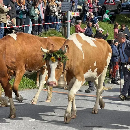 Salomon 02 In - Bright, Spacious And Superb 4-room Apartment