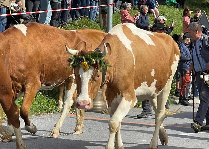 Salomon 02 In - Bright, Spacious And Superb 4-room Lägenhet