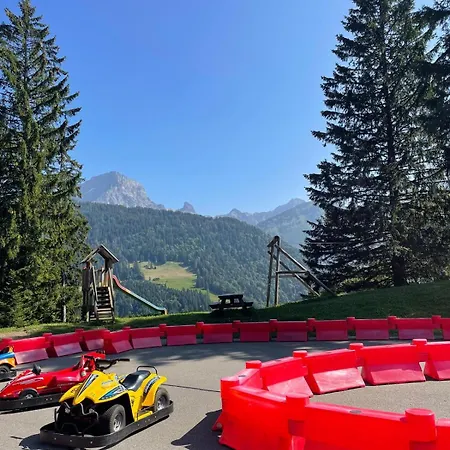 Salomon 02 In - Bright, Spacious And Superb 4-room Gryon